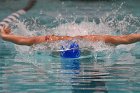 Swimming & Diving vs RWU  Swimming & Diving vs Roger Williams University. - Photo by Keith Nordstrom : Wheaton, Swimming